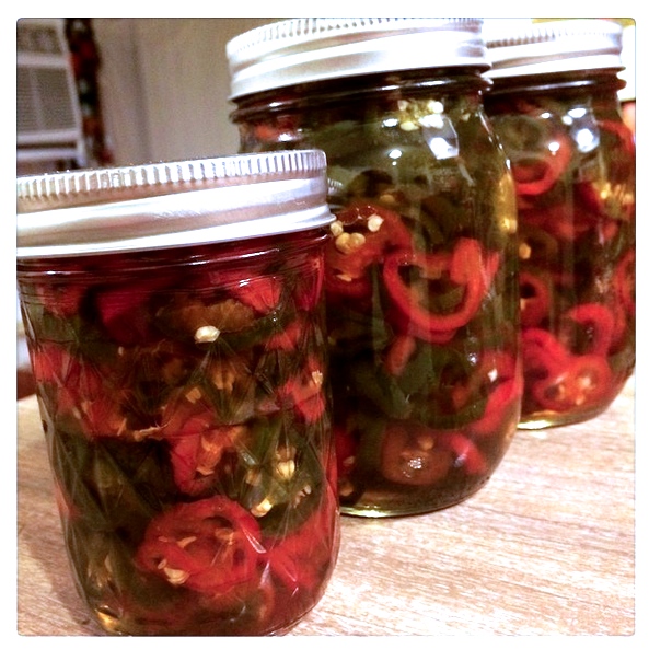 Candied Jalapeños in red and green. 