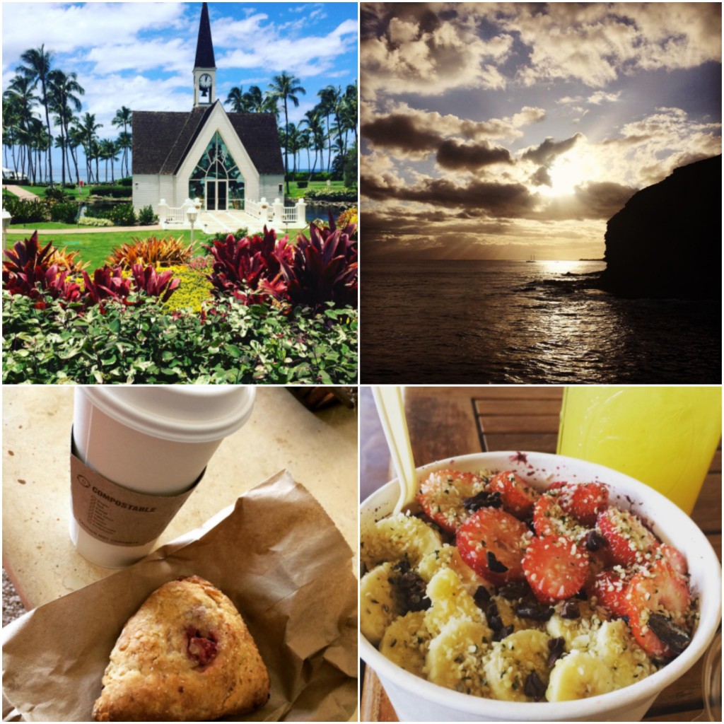 Upper Left: Gorgeous day in Wailea Upper Right: Sunset over West Maui Bottom Left: Delicious lavender-coconut milk latte and Vegan Strawberry-Lime Scone by Wailuku Coffee Company Bottom Right: Da Kine Acaí Bowl w/ Cacao Nibs and Chocolate Breadfruit Pudding. Had local honey on the top of mine, but otherwise vegan. Pineapple Ginger Lemonade, both from WowWow Lemonade in Kihei. 